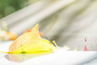 励志力量 励志力量