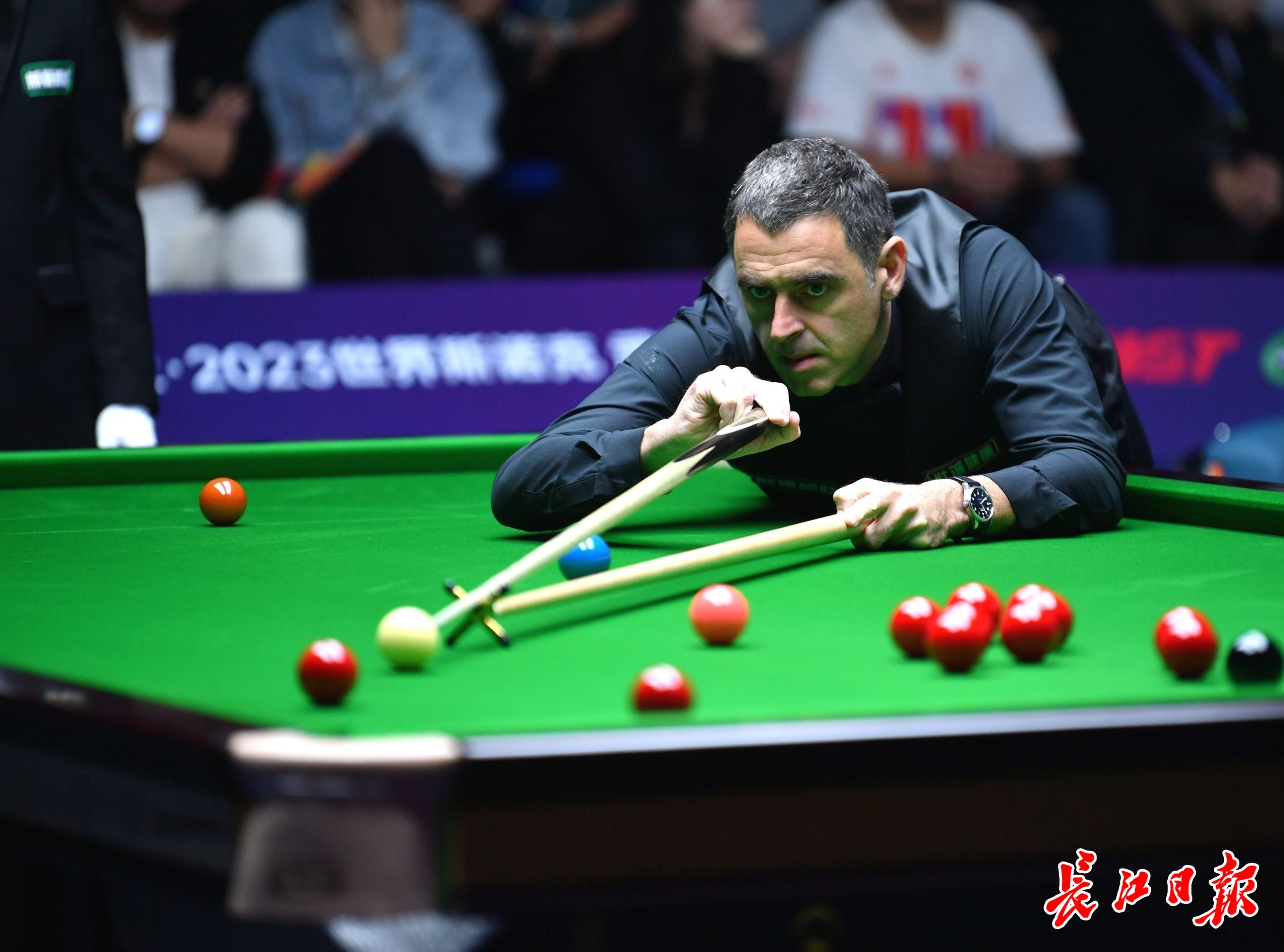 他们不仅制 他们不仅制