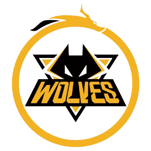 世界知名球 世界知名球